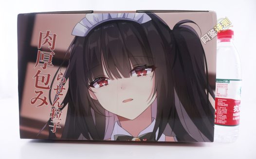 HMAX——“幻想女仆”评测！硬奶+固定腿部的大型倒模，插入有些不方便但至少床置比较好用