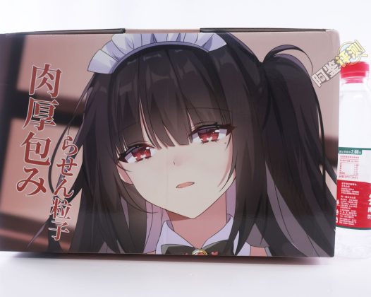 HMAX——“幻想女仆”评测！硬奶+固定腿部的大型倒模，插入有些不方便但至少床置比较好用