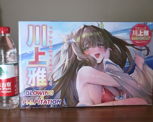 GXP-肉壁川上雅评测(大型倒模)!又一款床上使用的玩具,但是8.7kg!