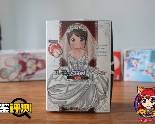 问题很多，但体验独特–magic eyes新娘宫评测（慢玩系列）